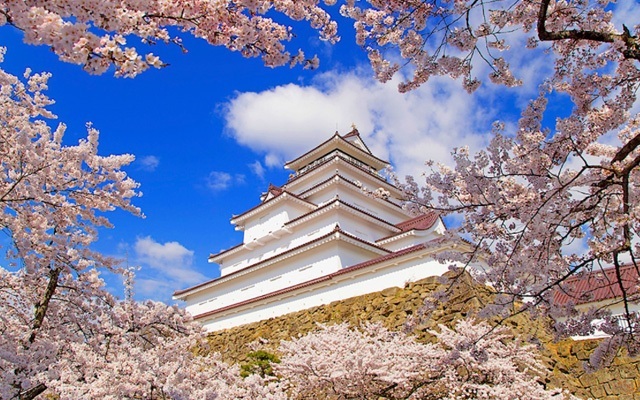 鶴ケ城公園