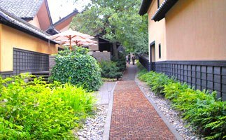 栗の小径