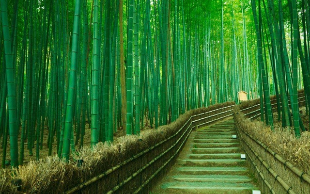 嵐山