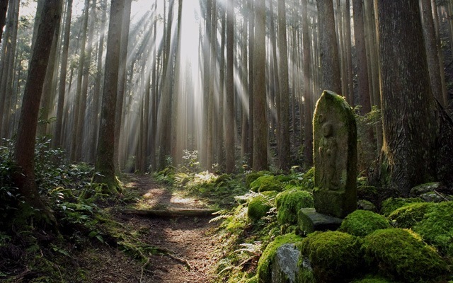 熊野古道