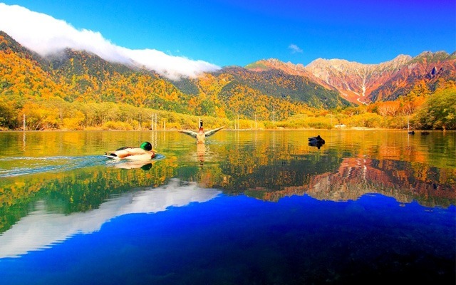 上高地