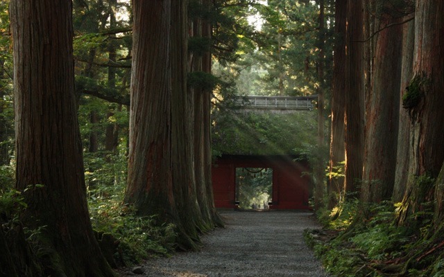 戸隠神社