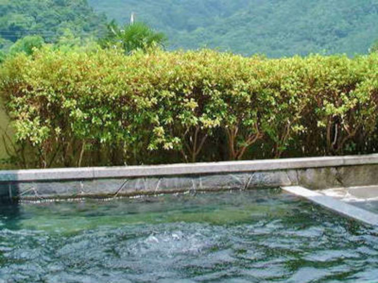 Hakone Image5