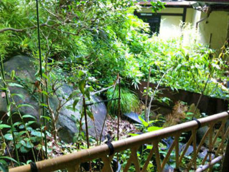 Hakone Image7