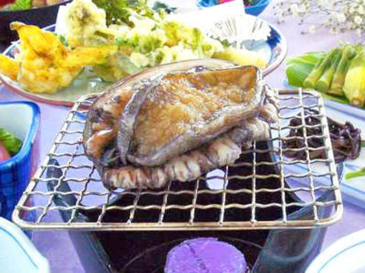 Zao Image5