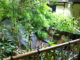 Hakone Image7