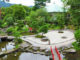 Kinugawa Image6