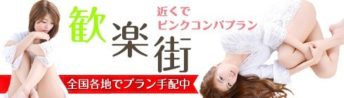 歓楽街のピンクコンパニオン宴会宿泊プラン