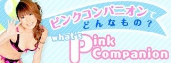 ピンクコンパニオンてどんなもの?