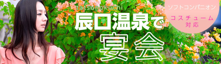 Tatsunokuchi